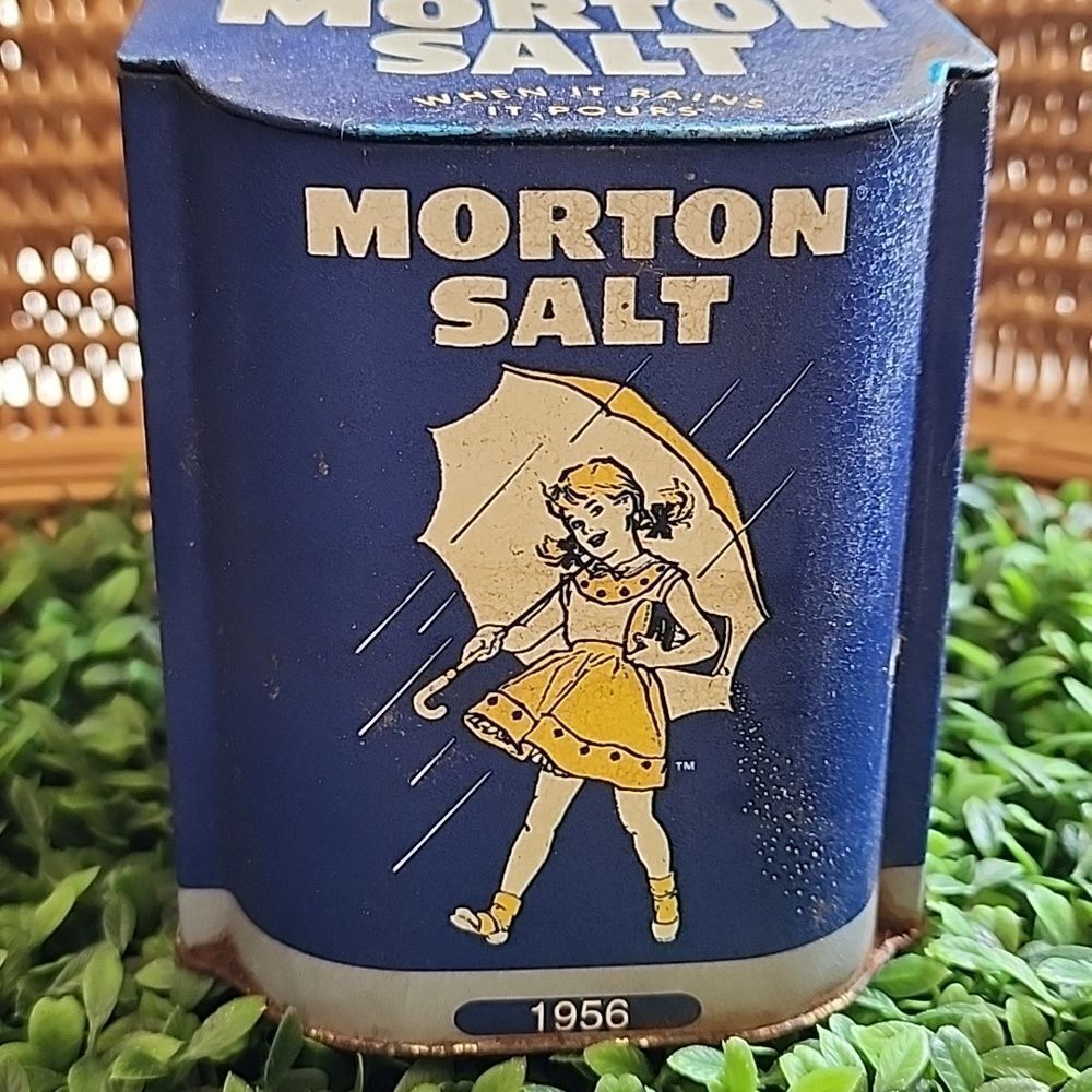 Vintage Hinged Lidded Morton Salt Rusty Container
